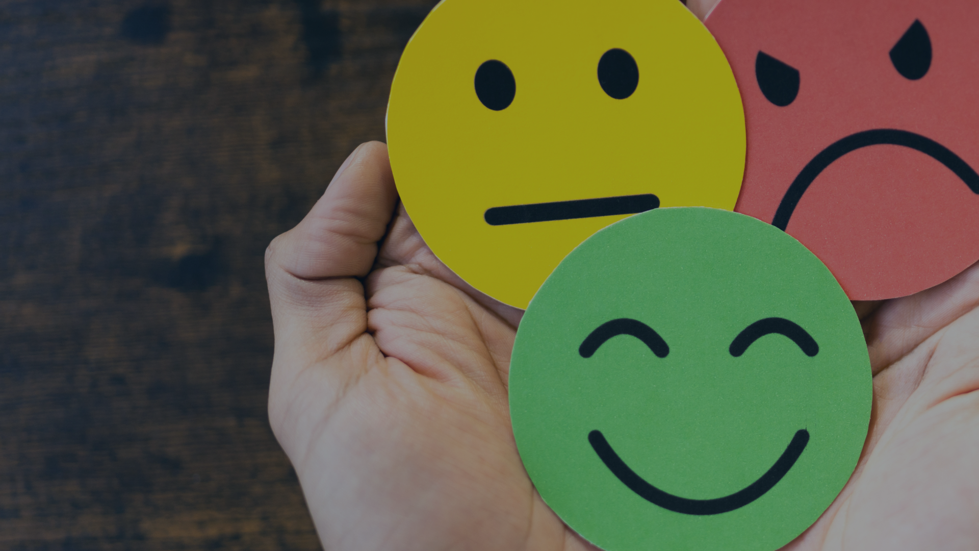 Gestão das emoções dos doutorandos e das relações orientador-doutorando e equipa de orientação